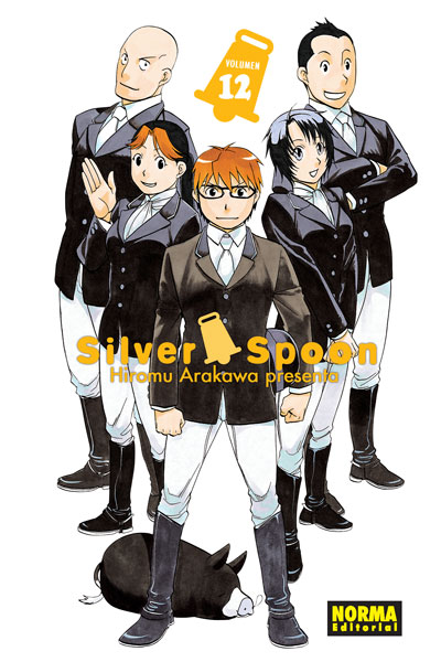 Silver Spoon 12